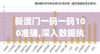 新澳门一码一码100准确,深入数据执行计划_XE版10.583