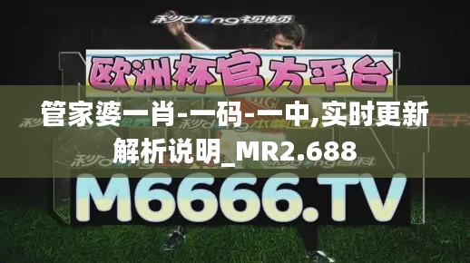 管家婆一肖-一码-一中,实时更新解析说明_MR2.688