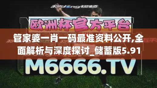 管家婆一肖一码最准资料公开,全面解析与深度探讨_储蓄版5.910