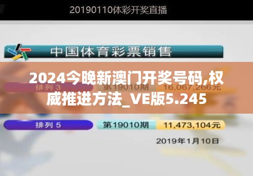 2024今晚新澳门开奖号码,权威推进方法_VE版5.245