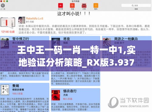 王中王一码一肖一特一中1,实地验证分析策略_RX版3.937