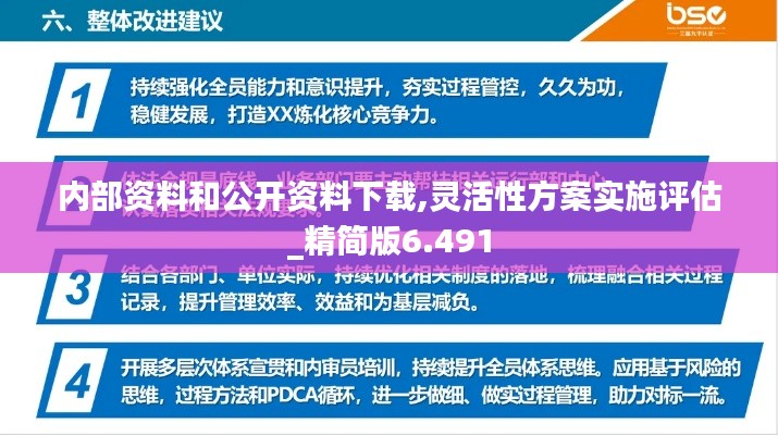 内部资料和公开资料下载,灵活性方案实施评估_精简版6.491