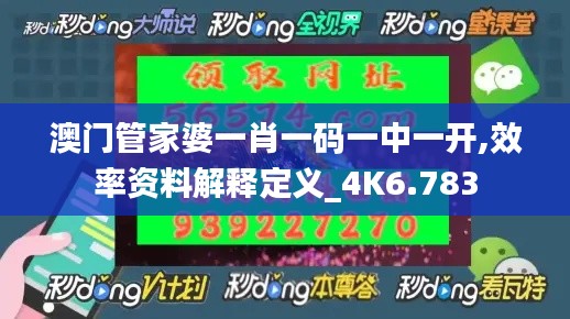 澳门管家婆一肖一码一中一开,效率资料解释定义_4K6.783