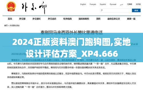 2024正版资料澳门跑狗图,实地设计评估方案_XP4.666