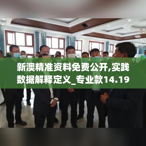 新澳精准资料免费公开,实践数据解释定义_专业款14.190