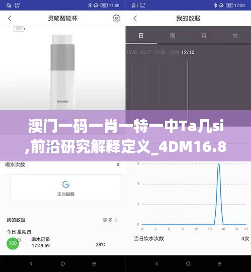 澳门一码一肖一特一中Ta几si,前沿研究解释定义_4DM16.882