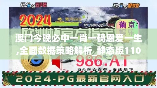 澳门今晚必中一肖一码恩爱一生,全面数据策略解析_静态版110.132