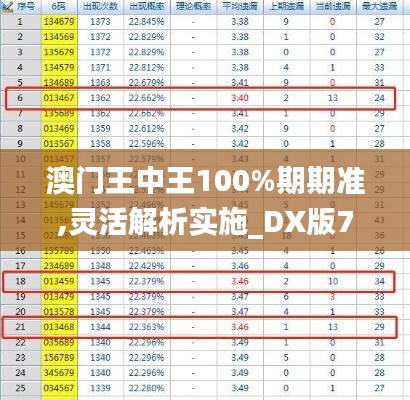 澳门王中王100%期期准,灵活解析实施_DX版7.281