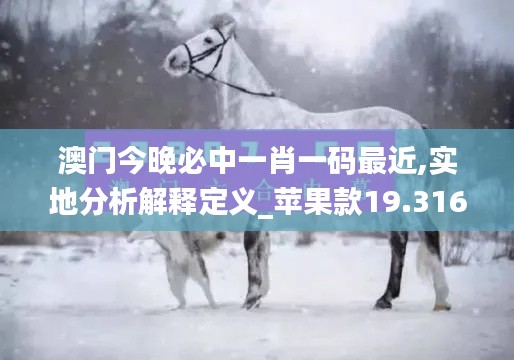 澳门今晚必中一肖一码最近,实地分析解释定义_苹果款19.316