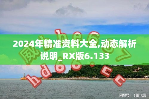 2024年精准资料大全,动态解析说明_RX版6.133