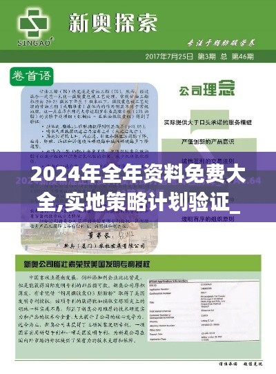 2024年全年资料免费大全,实地策略计划验证_WP6.457