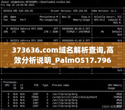 373636.com域名解析查询,高效分析说明_PalmOS17.796