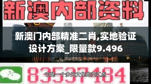 新澳门内部精准二肖,实地验证设计方案_限量款9.496