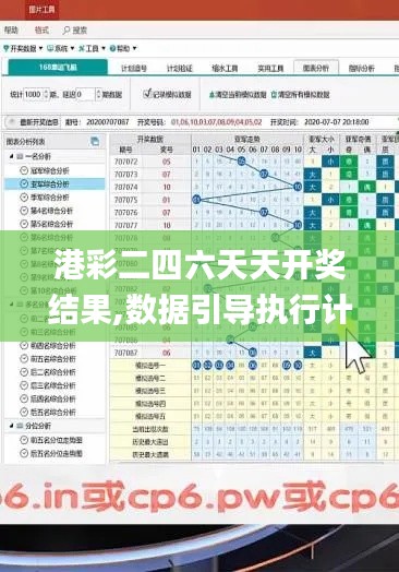 2024年12月 第397页