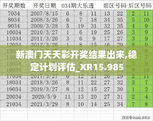 新澳门天天彩开奖结果出来,稳定计划评估_XR15.985