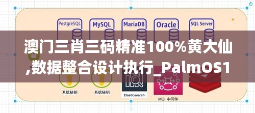 澳门三肖三码精准100%黄大仙,数据整合设计执行_PalmOS11.326