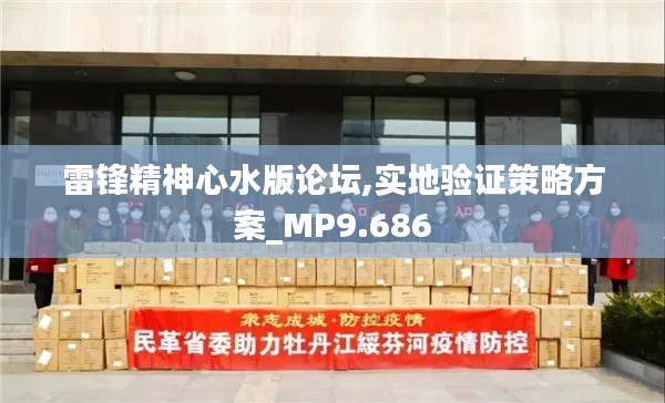 雷锋精神心水版论坛,实地验证策略方案_MP9.686