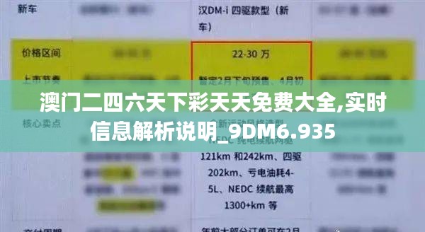 澳门二四六天下彩天天免费大全,实时信息解析说明_9DM6.935