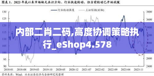 内部二肖二码,高度协调策略执行_eShop4.578