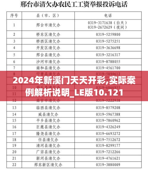 2024年新溪门天天开彩,实际案例解析说明_LE版10.121