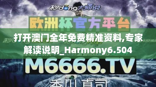 打开澳门全年免费精准资料,专家解读说明_Harmony6.504