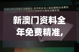 新澳门资料全年免费精准,现状解答解释定义_Notebook7.749