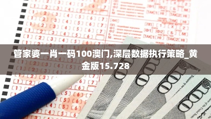 管家婆一肖一码100澳门,深层数据执行策略_黄金版15.728