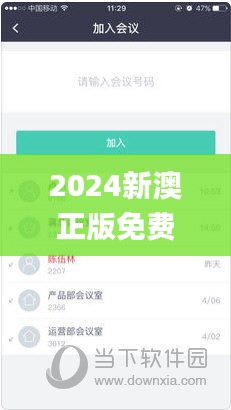 2024新澳正版免费资料大全,平衡指导策略_BT7.315