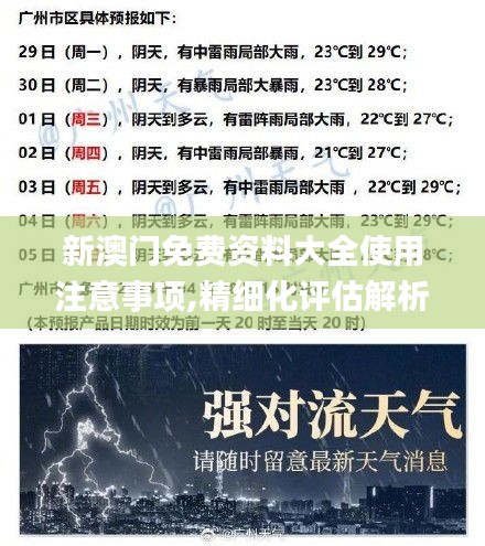 新澳门免费资料大全使用注意事项,精细化评估解析_经典版6.201