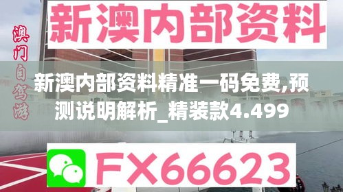 新澳内部资料精准一码免费,预测说明解析_精装款4.499