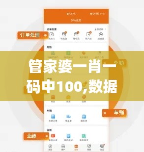 管家婆一肖一码中100,数据整合实施方案_开发版14.796