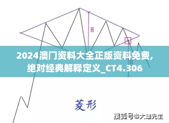 2024澳门资料大全正版资料免费,绝对经典解释定义_CT4.306