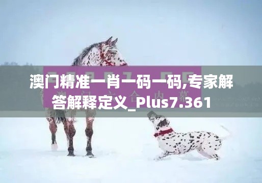 澳门精准一肖一码一码,专家解答解释定义_Plus7.361