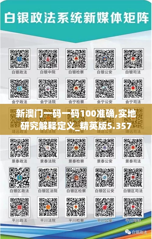 新澳门一码一码100准确,实地研究解释定义_精英版5.357