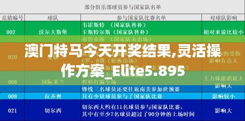 澳门特马今天开奖结果,灵活操作方案_Elite5.895