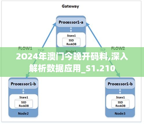 2O24年澳门今晚开码料,深入解析数据应用_S1.210