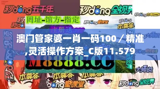 澳门管家婆一肖一码100／精准,灵活操作方案_C版11.579