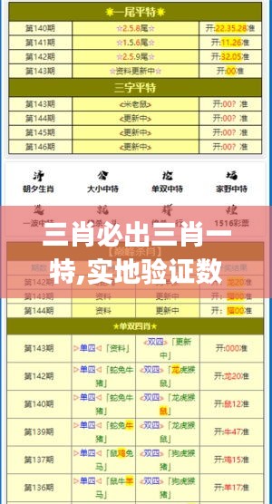 三肖必出三肖一特,实地验证数据策略_L版1.747