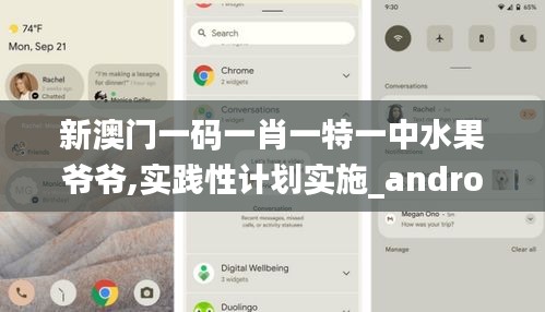 新澳门一码一肖一特一中水果爷爷,实践性计划实施_android1.347