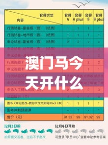 澳门马今天开什么特马,定性分析解释定义_AR5.852