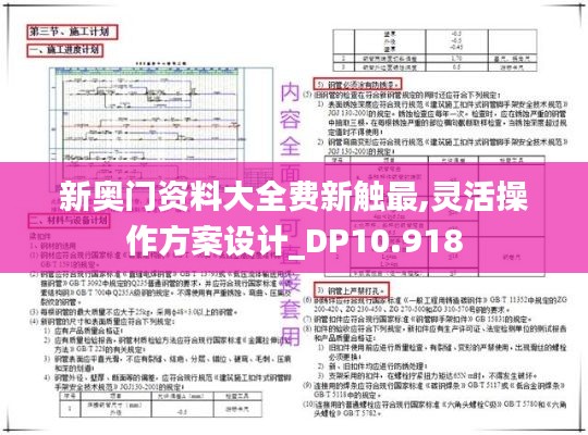 新奥门资料大全费新触最,灵活操作方案设计_DP10.918