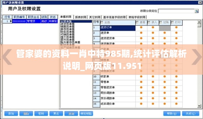 管家婆的资料一肖中特985期,统计评估解析说明_网页版11.951