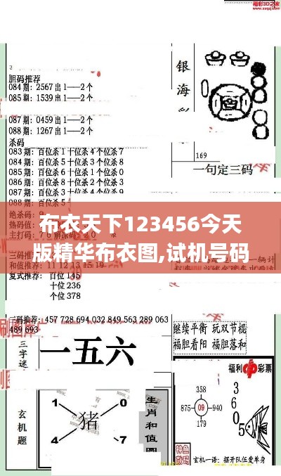 布衣天下123456今天版精华布衣图,试机号码,适用计划解析_复刻版6.497