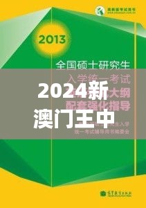 2024新澳门王中王正版,实地研究解析说明_X8.340