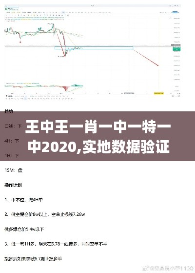 王中王一肖一中一特一中2020,实地数据验证策略_复刻版15.858