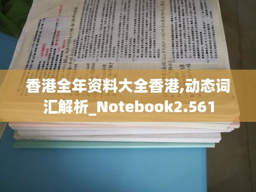 香港全年资料大全香港,动态词汇解析_Notebook2.561