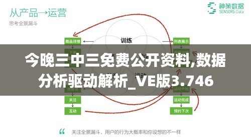 今晚三中三免费公开资料,数据分析驱动解析_VE版3.746