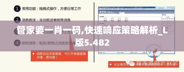 管家婆一肖一码,快速响应策略解析_L版5.482