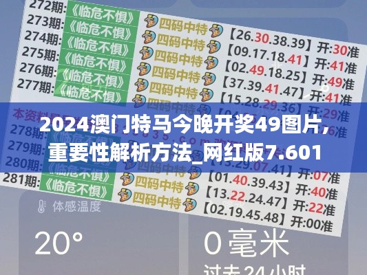 2024澳门特马今晚开奖49图片,重要性解析方法_网红版7.601