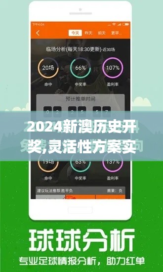 2024新澳历史开奖,灵活性方案实施评估_4K版2.123